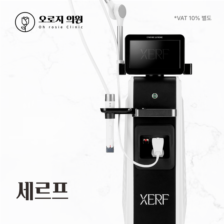 세르프