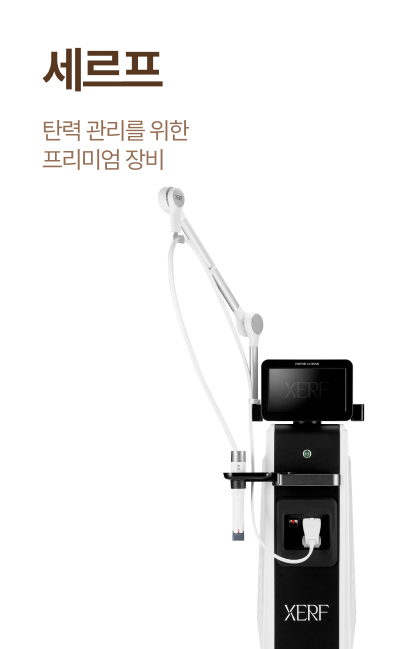 세르프